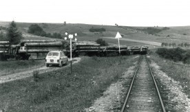 Transport drewna na stacji w Smolniku na Bieszczadzkiej Kolei Leśnej. Rok 1981. Fot. Jerzy Szeliga.

Sygnatura: 1850B.