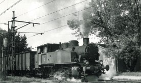 Parowóz przemysłowy TKh 3109 typu "Ferrum" z węglarkami na stacji w Sochaczewie. 20 maja 1989 r. Fot. Jerzy Szeliga.

Sygnatura: 4556/4.